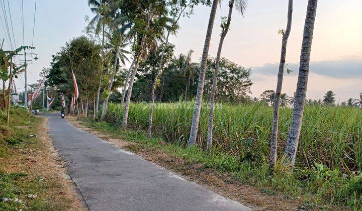 Tanah di Krebet Bululawang Kab Malang 5000 m² SHM 1