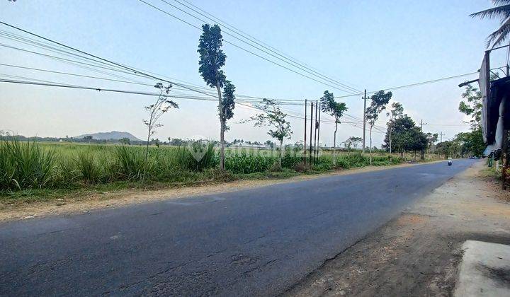 Tanah murah 0 jalan profinsi kidangbang wajak 1