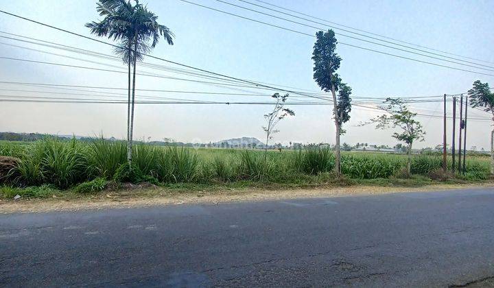 Tanah murah 0 jalan profinsi kidangbang wajak 2