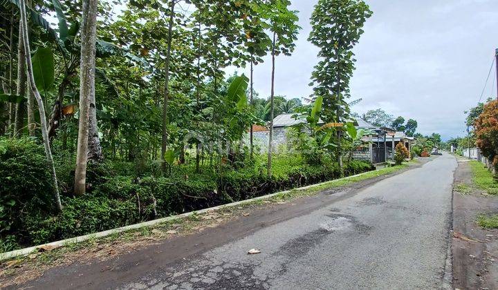 Tanah Murah SHM luas 702 m² poros Jalan desa 1