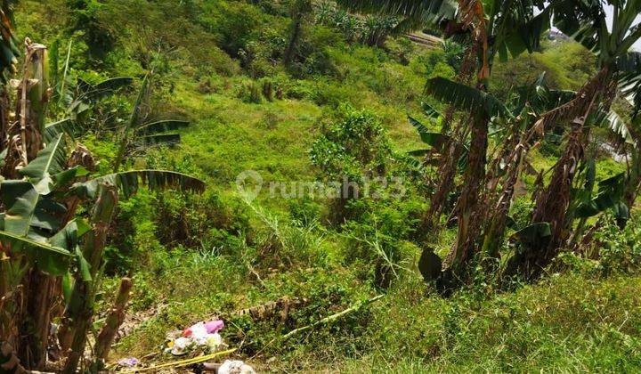 Tanah di Ikan Tombro Sekarno Hatta Malang 1591 m² SHM 2