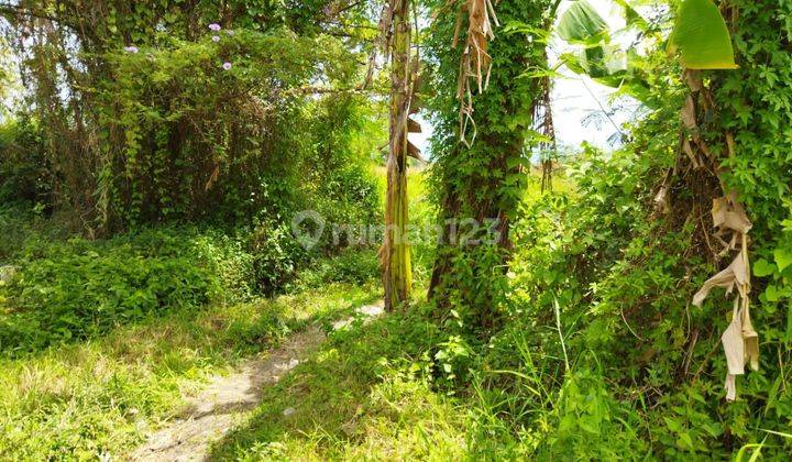 Tanah butuh cepat di ikan tombro Lowokwaru suhat 2