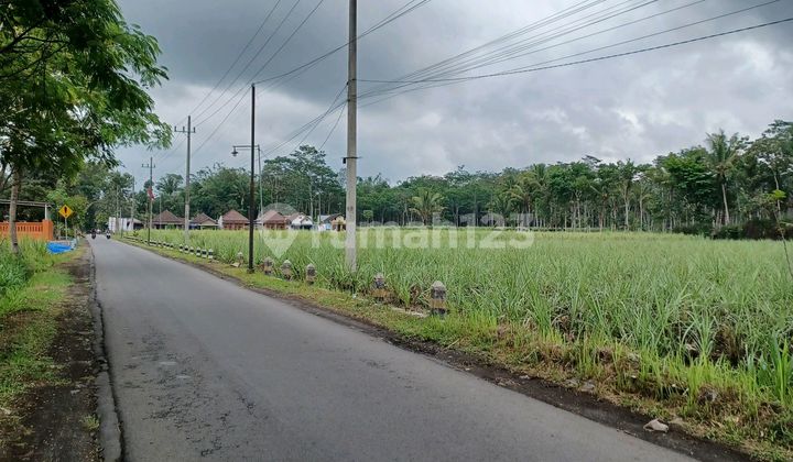Jual Tanah Luas 0 Jalan Kampung Lokasi Startegis
