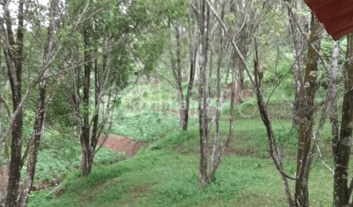 Gudang Dengan Tanah Luas Di Sindang Laya Ujung Berung Bandung 2