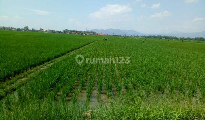 Tanah Cocok Untuk Perumahan di Kopo Katapang Bandung 1