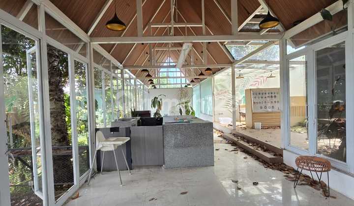 Disewakan Ruang Usaha Strategis di Sayap Ciumbuleuit – View Hutan, Cocok untuk Cafe, Kantor, dan Tenis Paddle Disewakan Ruang Usaha Strategis di Sayap Ciumbuleuit – View Hutan, Cocok untuk Cafe, Kantor, dan Tenis Paddle