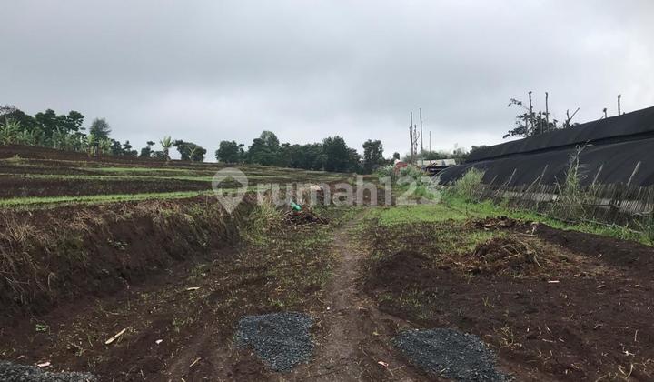 Tanah di Padalarang Cocok Untuk Perumahan, Villa, Rumah Sakit, Dekat Tol & KCIC Whoosh Tanah di Padalarang Cocok Untuk Perumahan, Villa, Rumah Sakit, Dekat Tol & KCIC Whoosh