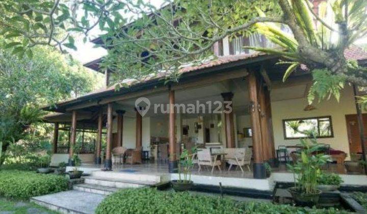 Villa Bagus Nyaman View Sawah di Ubud Bali, Ada Kolam Renang 2