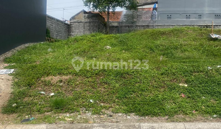 Strategic land suitable for family residences as well as long-term investments. Strategic land suitable for family residences as well as long-term investments.