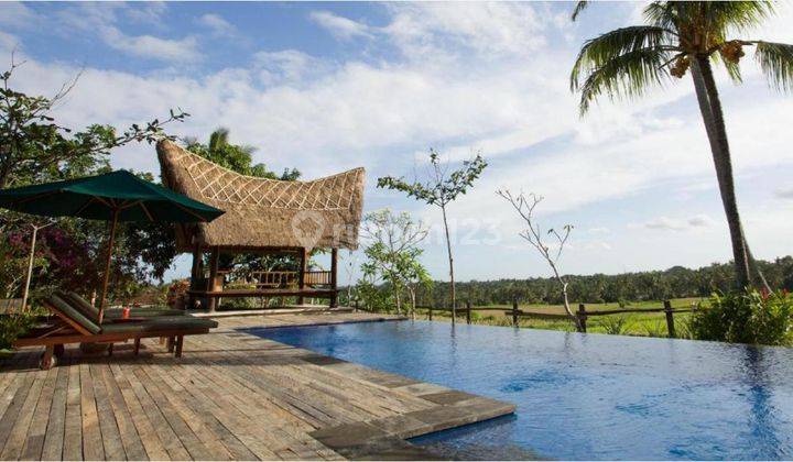 Villa Bagus Nyaman View Sawah di Ubud Bali, Ada Kolam Renang 1