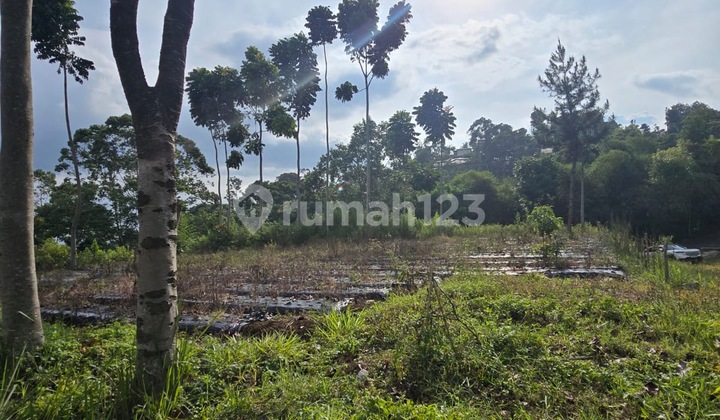 Land with Expansive View of City Lights Suitable for Villa in Dago Giri, Lembang Bandung