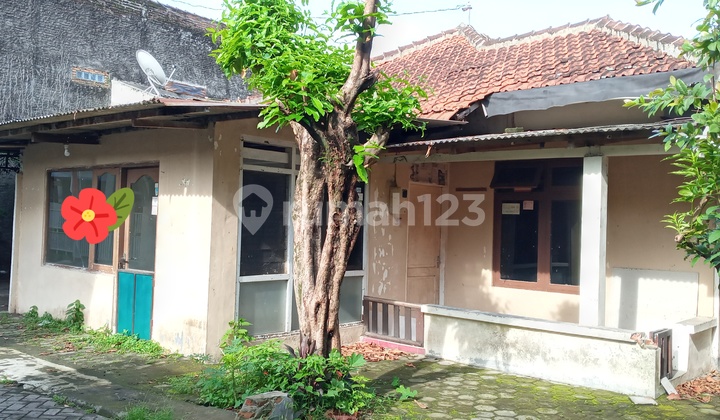 Tanah di Jln.Kaliurang dkt UGM, dlm Ringroad.Bonus rumah.LT 253 m2, Ld 16.5 meter.Harga Rp 8,25 jt/meter. 1