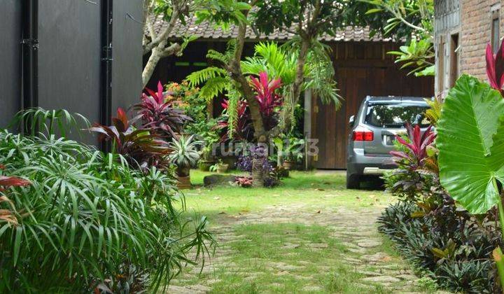 Rumah Jawa Klasic Kayu Jati Di "desa Wisata Tembi" Sewon, Bantul, (selatan Kampus Isi). Cck Utk Villa/ Homestay. 2