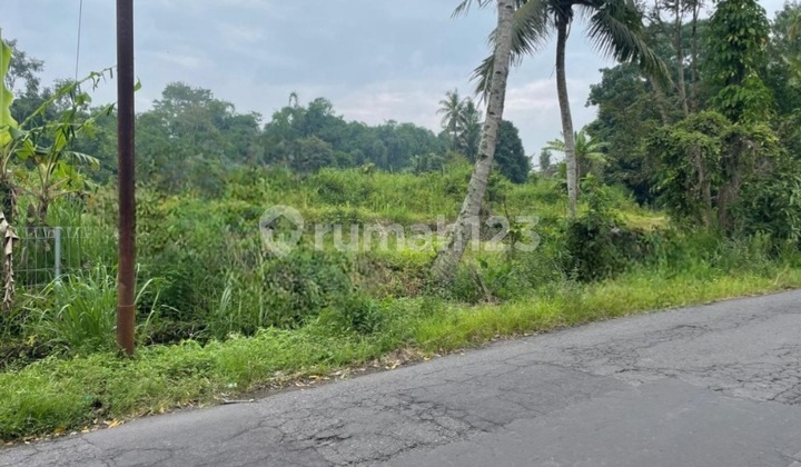 Tanah Mangku Jalanraya di Ngemplak, Dekat Kopi-Klotok & Resto Mbak-Pesta. Tanah Mangku Jalanraya di Ngemplak, Dekat Kopi-Klotok & Resto Mbak-Pesta.