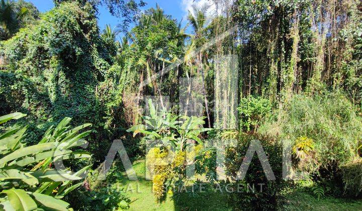 Best Price Bangeeet Beautiful, Charming Villa in Ubud, Bali 2