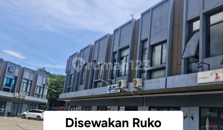 Affordable For Rent Avenix Shop House Bsd City Prime Location Near Atmajaya University Bsd City