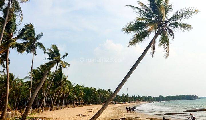 Tanah 1,3 HA SHM  pinggir pantai di Jl. Nasional Anyer  1