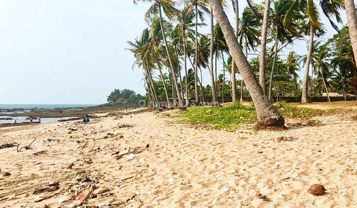 Tanah 1,3 HA SHM  pinggir pantai di Jl. Nasional Anyer  2