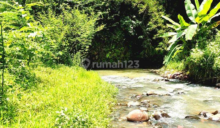 Tanah 1,6 Ha Siap Bangun Strategis Jl.raya Cigudeg Bogor Barat 2