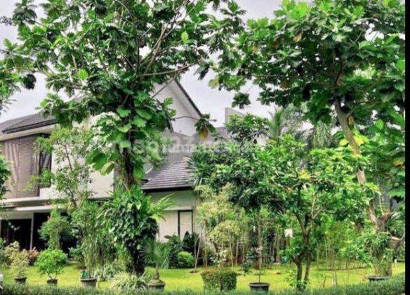 Rumah Mewah dan Asri Virginia Lagoon BSD City Homey 1