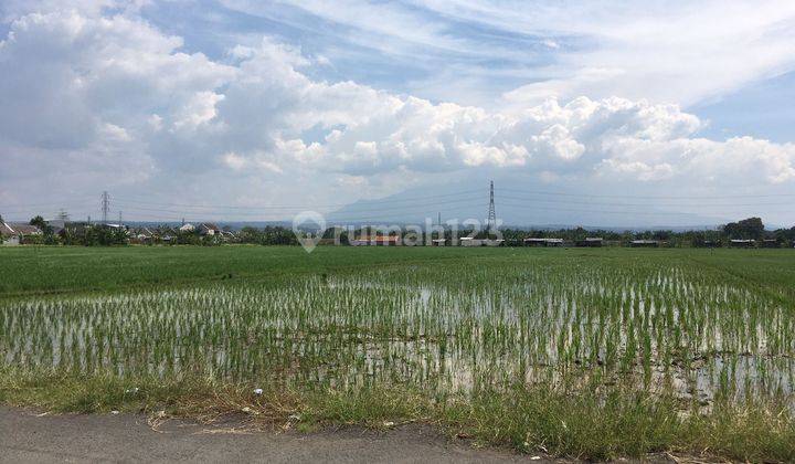 JUAL MURAH 825 RB/M TANAH PEGAMBIRAN CCK CLUSTER/GUDANG  CIREBON  3
