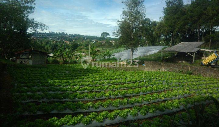 TANAH LEMBANG STRATEGIS BUAT VILLA USAHA CIBOGO BANDUNG BARAT  1