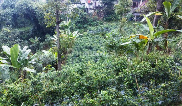 DIJUAL TANAH LEMBANG MURAH VIEW OK BLK FLOATING MARKET BANDUNG  2