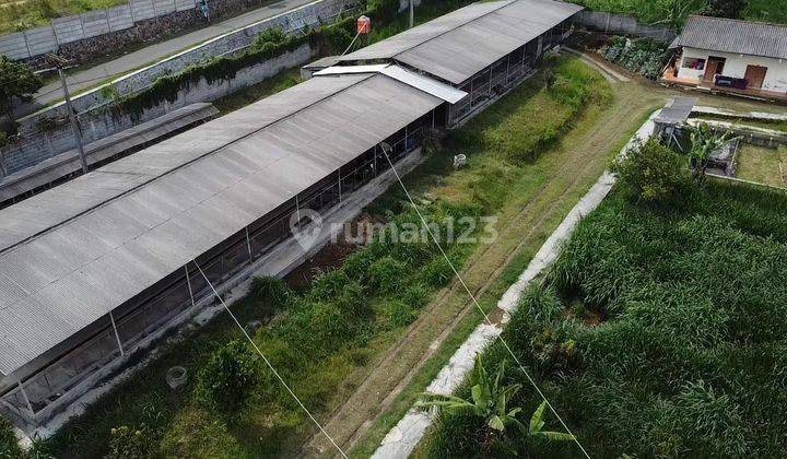 RUMAH VILLA+KANDANG SAPI JUAL CEPAT STRATEGIS LEMBANG BANDUNG UTARA  2