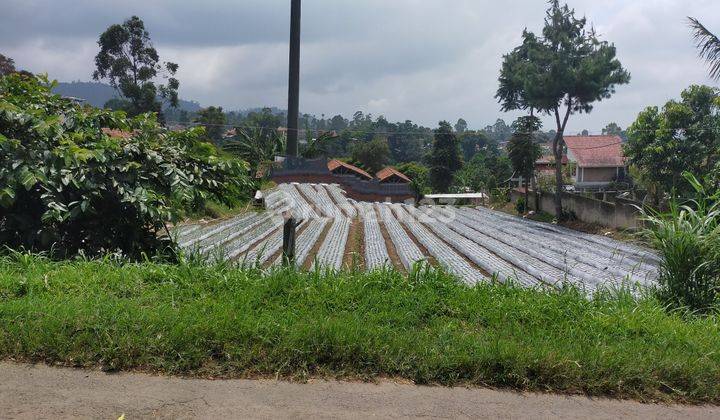 TANAH VIEW CANTIK LEMBANG KOLMAS UTK VILLA CLUSTER KEBUN BANDUNG  2