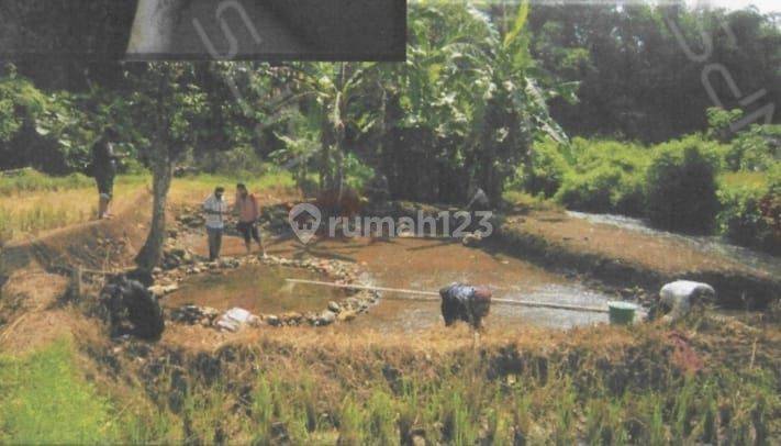 LAHAN LUAS, ALAM BAGUS, POTENSI WISATA IZIN READY CIATER SUBANG 2