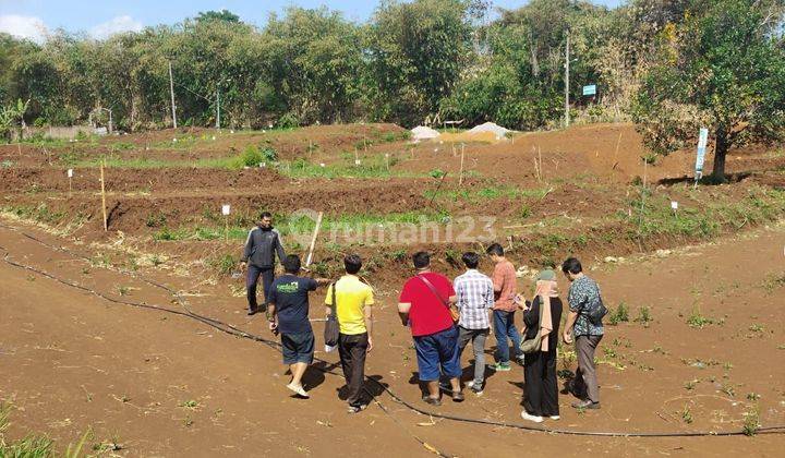 KAVLING MURAH SINDANG LAYA 120 JUTA JALAN RAYA ARCAMANIK BANDUNG  1