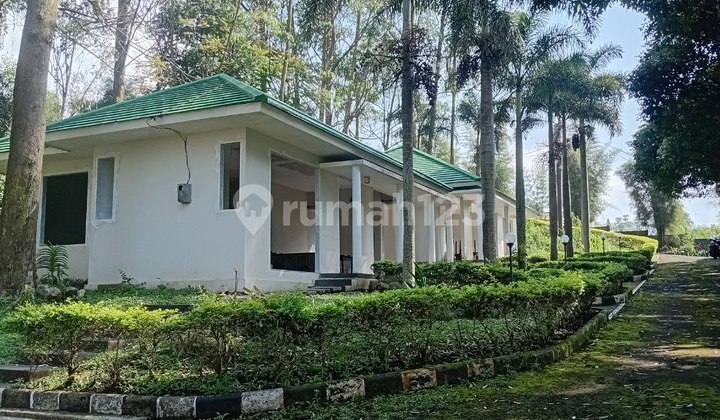 Villa Bagus Tanah Luas Semi Hutan Cikole Lembang Bandung Utara