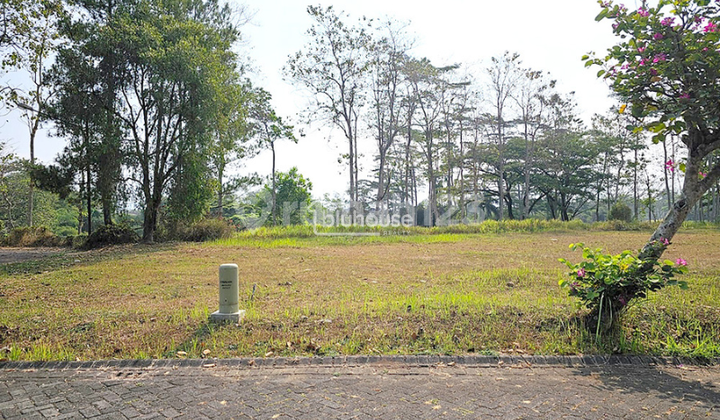 Strategic Land Near University and Airport in Araya