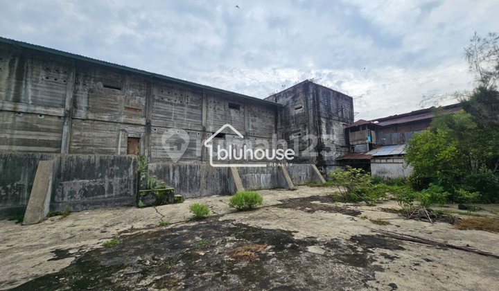 Gudang Burung Walet dan Tanah Siap Pakai di Raya Semeru Selatan Gudang Burung Walet dan Tanah Siap Pakai di Raya Semeru Selatan
