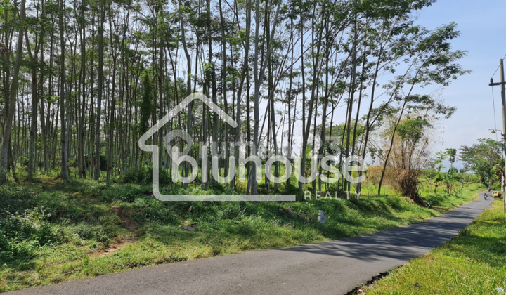 Tanah Cocok untuk Investasi dan Usaha di Daerah Jedong