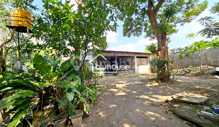 Rumah Strategis bisa untuk Usaha Dekat Universitas di Dinoyo