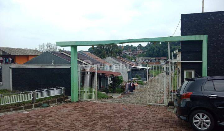 Rumah siap huni asri di cluster strategis kota Bogor. Banyak juga dijadikan investasi kontrakan. Hanya 1,4km dari stasiun Bogor, 1,2km ke RS Ummi, 1,3m dari pasar. Jalanan aspal, bebas banjir. Dilalui angkot 1