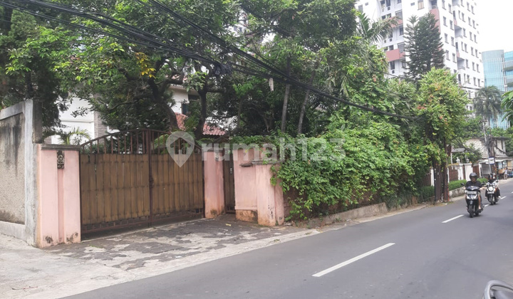 Rumah Bagus Di Jl Cilandak Tengah Jakarta Selatan