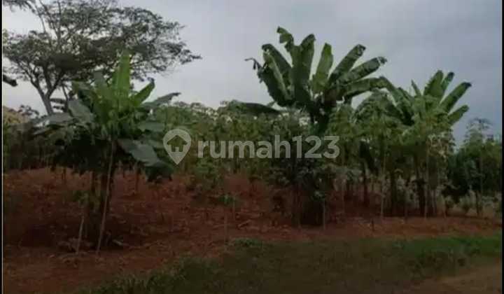 Kavling Siap Bangun Di Cluster Lembah Padi Utama Kemang Bogor