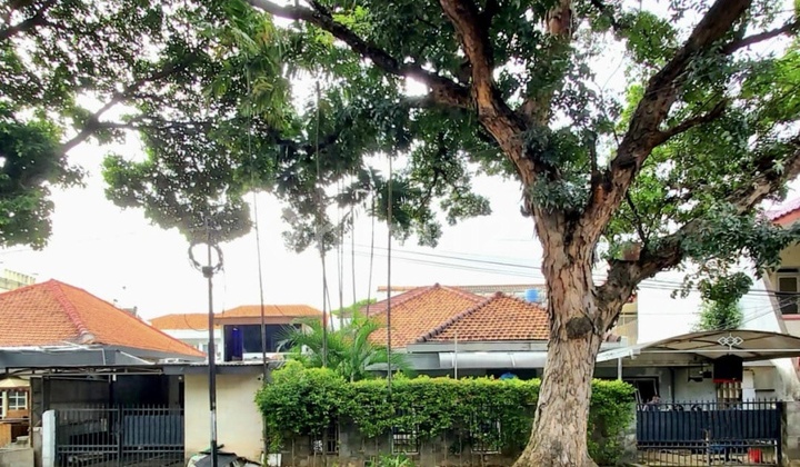 Dijual Rumah Jl Lamandau, Kebayoran Baru 2