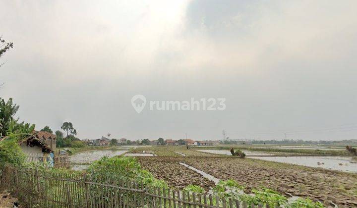 DIJUAL SAWAH DI PINGGIR JALAN CICALENGKA, MAJALAYA BANDUNG 1