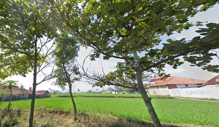 DIjual Sawah Ranca kentang, majalaya Bandung  2