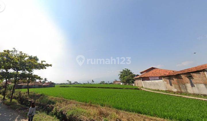 DIjual Sawah Ranca kentang, majalaya Bandung  1