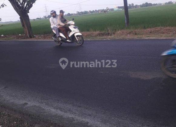 Tanah di Peruntukan Gudang Dijual Harga Nego Lokasi Strategis 2