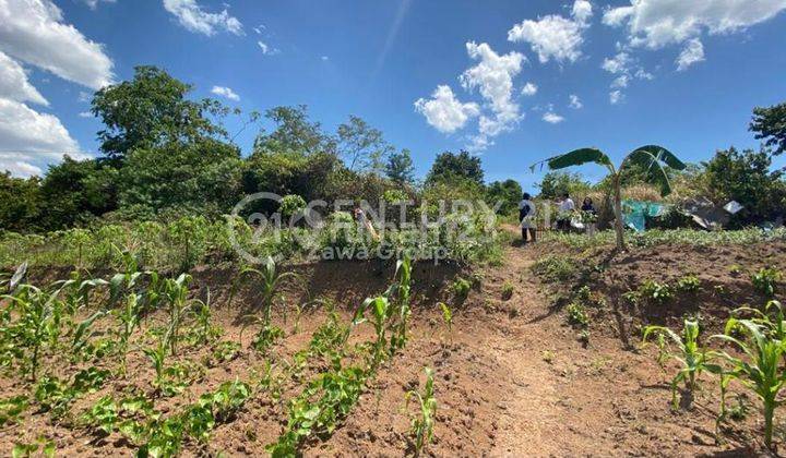 Dijual Tanah Cocok Untuk Perumahan di Sepang Serang Banten 2