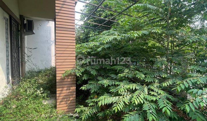 Dijual Rumah Perlu Di Renov Di Griya Sutera Area Alsut 2