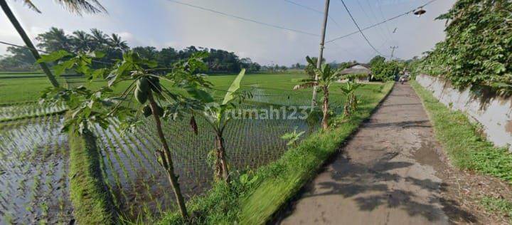 Jual Tanah Sawah Cocok Ut Perumahan,pabrik di Ciranjang Cianjur 2