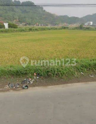 Tanah Strategis Mainroad Sukawangi Kaler Kutawaringin Bandung 2