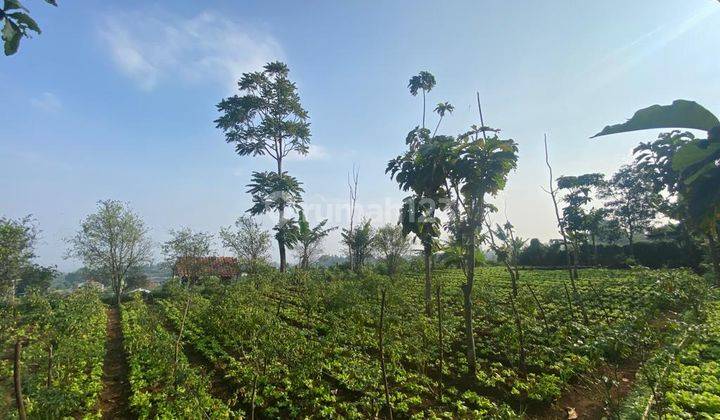 Tanah Strategis Masuk Mobil View Indah Cihanjuang Bandung Barat 2