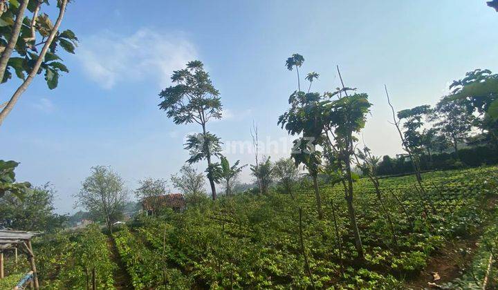 Tanah Strategis Masuk Mobil View Indah Cihanjuang Bandung Barat 2